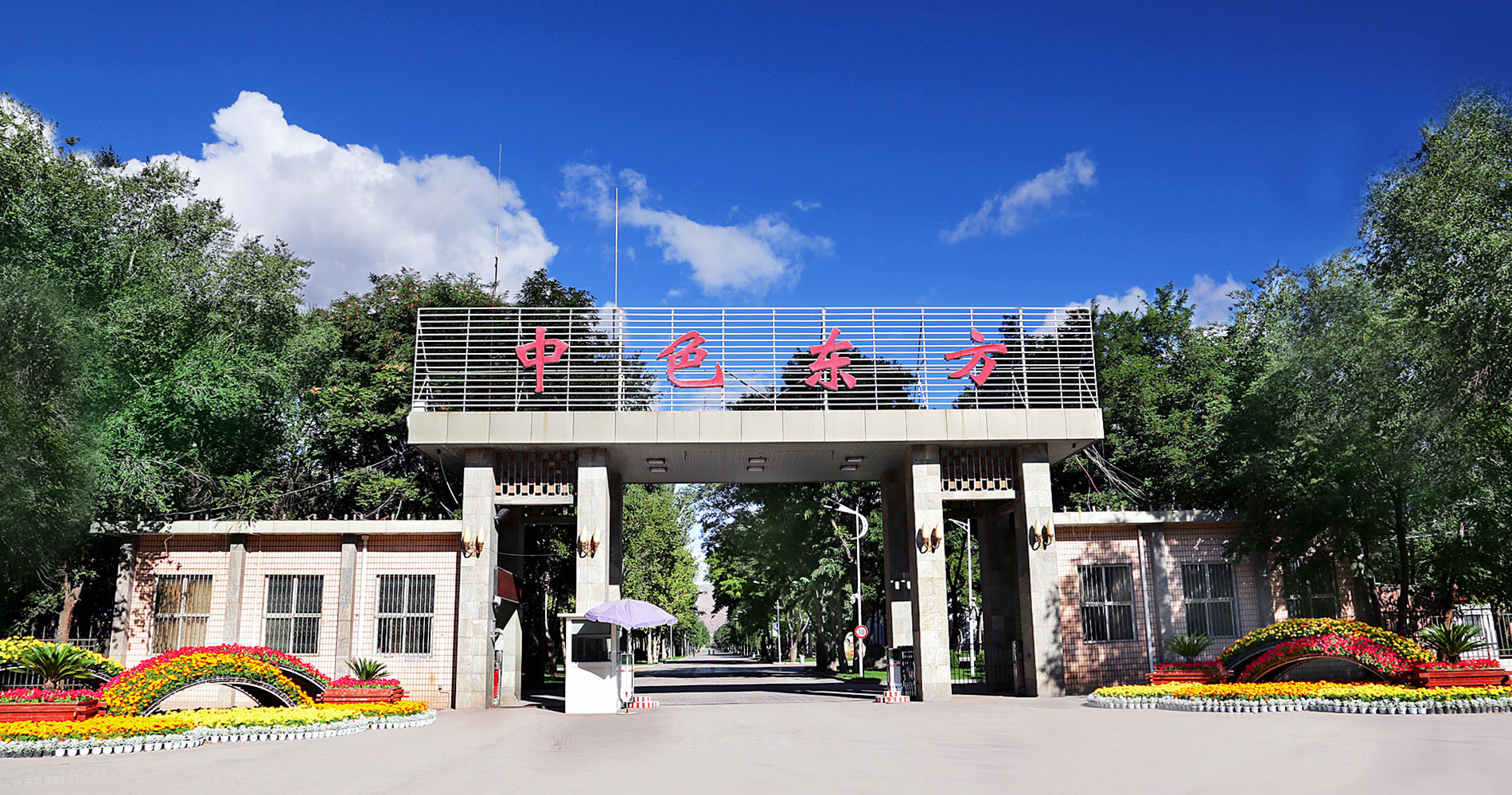 銷售網(wǎng)絡(luò) 